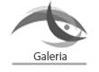 GaleriaBW